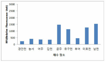 9월 채수시료의 피코시아닌 형광도