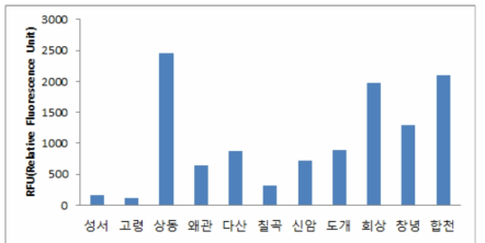 10월 채수시료의 피코시아닌 형광도