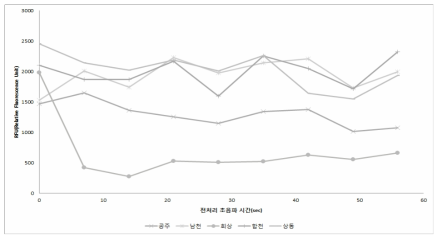 채수지점별 피코시아닌 형광도(1400 RFU이상)