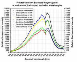 ▲ Excitation at 590~620nm Emission at 635~650nm