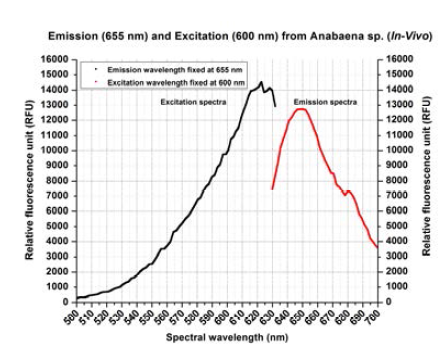 ▲ Excitation at 600nm Emission at 655nm