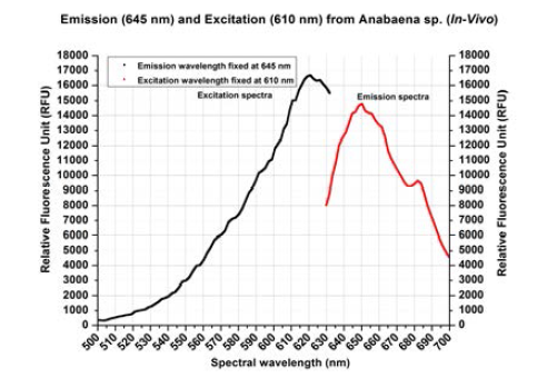 ▲ Excitation at 610nm Emission at 645nm