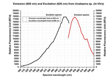 ▲ Excitation at 620nm Emission at 650nm