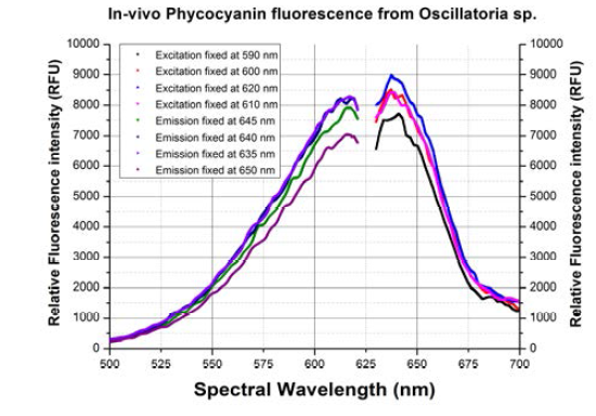 ▲ Excitation at 590~620nm Emission at 635~650nm