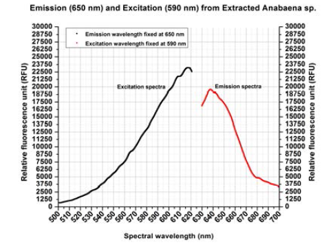 ▲ Excitation at 590nm Emission at 650nm