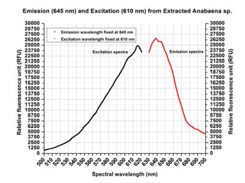 ▲ Excitation at 610nm Emission at 645nm