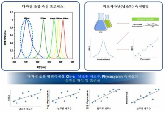 피코시아닌 분석을 통한 다파장 조류 측정값의 상관성