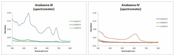 세포 수 및 추출 과정 단계별 Anabaena affinis 흡광스펙트럼