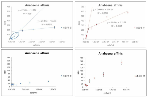 Anabaena affinis 세포 수와 형광측정 피코시아닌 농도 상관관계