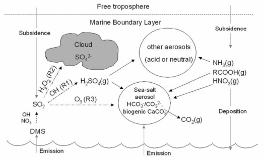 해양에서 배출되는 해염 (sea salt) 및 DMS의 대기중의 화학적 변환(Alexander et al., 2005)