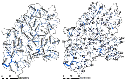 Reach and ranking results of river network in Yeongsan river watershed (1:100,000)