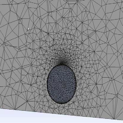 탱크 주변의 Meshing 상태