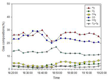 Run 1-13 정상상태 구간의 합성가스 조성