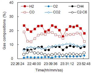 Run 2-2 합성가스 조성