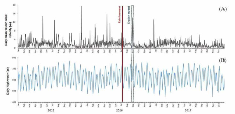 Daily mean 10-min wind velocity at Dasari dunefield (A), Daily higher water level (B) at Seocheon-Maryanq tidal station