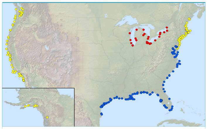 Distribution of the samples collected and measured as part of the Mussel Watch Program, USA; ○ Mussels (Mytilus species), ○ Oysters (Crassostrea virginica), ○ Zebra Mussels (Dreissena species)