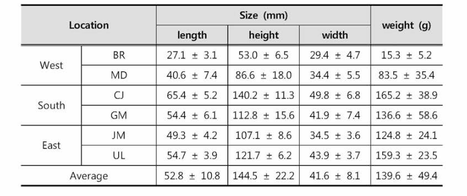 Size and weight of mussels by sites