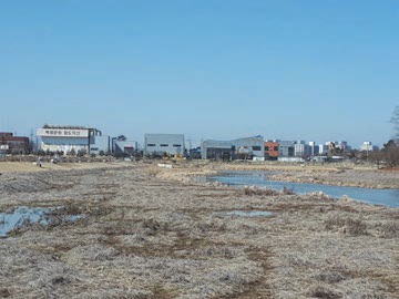 The livestock manure treatment facilities and the ecological wetland