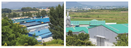 The livestock complexes and the manure compositing facilities in Kwangsuk