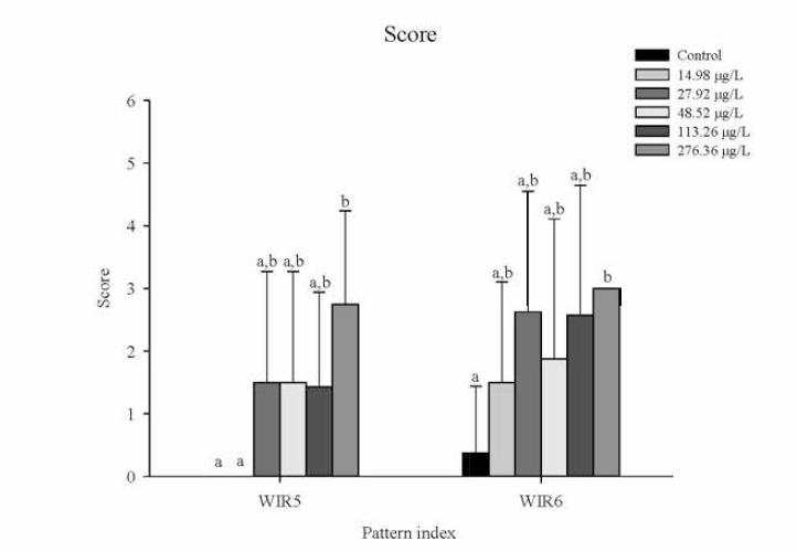 Index score of atrophy and apoptosis for intestinal epithelial in Oryzias iatipes exposed to DPA