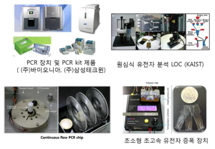 국내 유전자 분석 장치 및 LOC 연구 사례