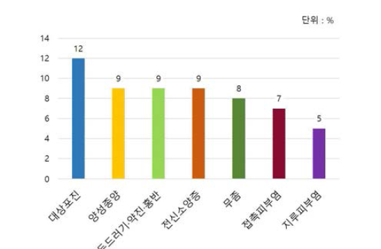 65세 이상 피부과 환자 피부질환 발생률 (출처: 대한피부과학회)