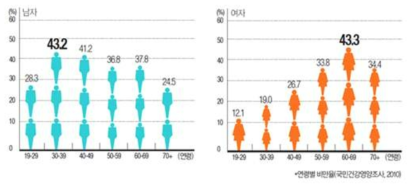 국내 남녀 연령별 비만율 (출처 : 국민건강영양조사, 2010)