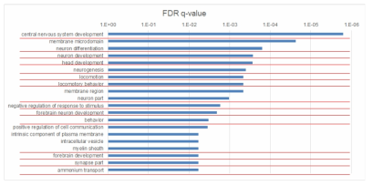 miRNA matched target genes 에 대하여 pathway analysis를 한 결과 신경발달과 시냅스 관련 신경전달경로에 주로 관여함을 확인함