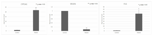 환자군 시료 기반 CYP1A1, VEGFA, FLG 유전자 발현변화 검증 실험 결과