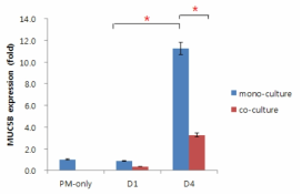 PM 처리 및 PL-MSC 공배양에 따른 HMEEC에서의 MUC5B 발현 변화