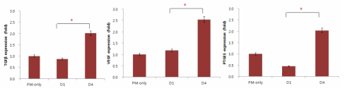 PM 처리한 HMEEC와 공배양 후 PL-MSC에서의 TGFβ, VEGF, PTGES 발현변화