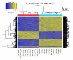 두 그룹의 gene expression hierarchical clustering