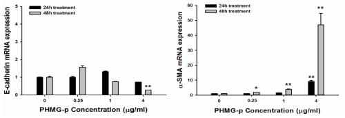 PHMG-p에 의한 상피간엽이행 관련 mRNA 변화