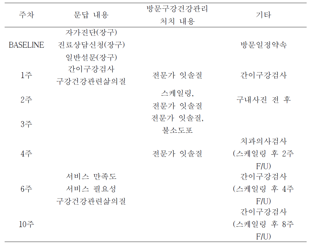 방문구강건강관리 처치 내용