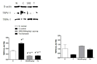 Western blotting of TRPV1 and TRPA1 expressions in ipsilateral L4, L5 and L6 DRGs in spread nerve injury(SNI) rats. *P<0.05, **P<0.01, ***P<0.001 vs. normal (a) or control (b) group