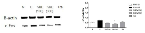 신경병증성 통증 흰쥐에서 황금추출물(SRE)의 뇌중심회백질의 c-fos 단백 활성에 미치는 영향 평가, N: Normal, C: Control, SRE(100): 황금추출물 100mg/kg,SRE(300): 황금추출물 300mg/kg, Tra: Tramadol, *P<0.05 vs. control group