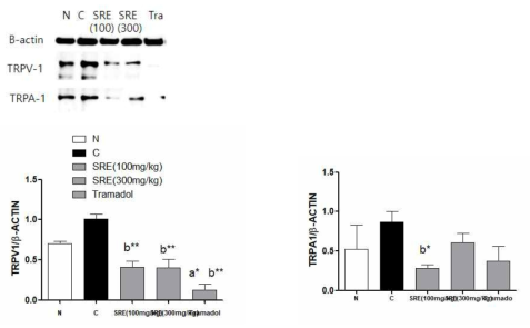 Western blotting of TRPV1 and TRPA1 expressions in ipsilateral L5 DRG in spread nerve injury(SNI) rats. *P<0.05, **P<0.01, ***P<0.001 vs. normal (a) or control (b) group