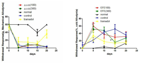 신경병증성 통증 흰쥐 모델에서 열성약인 오수유투여군(EFE)의 효능평가, *P<0.05, **P<0.01, ***P<0.001 vs. normal (a) or control (b) group
