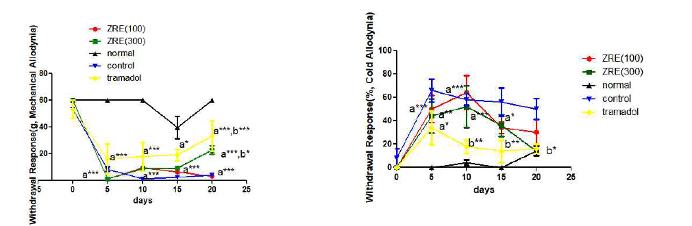신경병증성 통증 흰쥐 모델에서 열성약인 건강추출물(ZRE 100mg/kg, 300mg/kg) 투여군의 효능 평가, *P<0.05, **P<0.01, ***P<0.001 vs. normal (a) or control (b) group