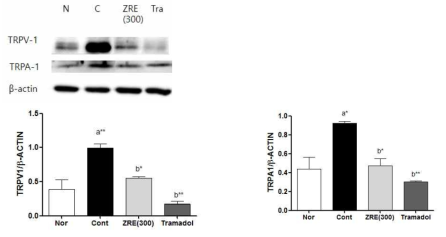 Western blotting of TRPV1 and TRPA1 expressions in ipsilateral L5 DRG in spread nerve injury, *P<0.05, **P<0.01, ***P<0.001 vs. normal (a) or control (b) group