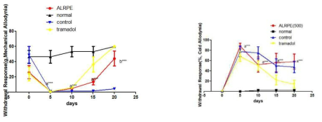 신경병증성 통증 흰쥐 모델에서 열성약인 포부자추출물(ALRPE 500mg/kg) 투여군의 효능평가, *P<0.05, **P<0.01, ***P<0.001 vs. normal (a) or control (b) group