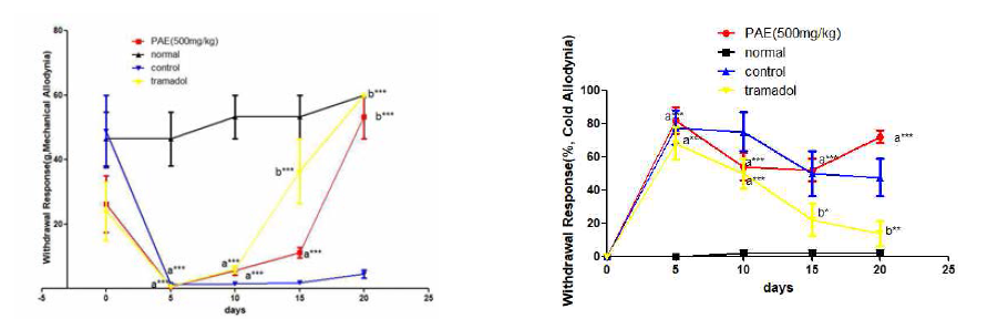 신경병증성 통증 흰쥐 모델에서 열성약인 황백추출물(PAE 500mg/kg)투여군의 효능평가, *P<0.05, **P<0.01, ***P<0.001 vs. normal (a) or control (b) group
