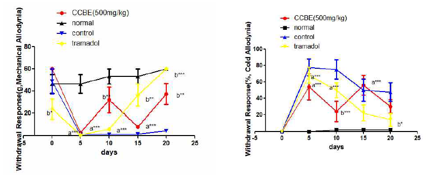 신경병증성 통증 흰쥐 모델에서 열성약인 계지추출물(CCBE 500mg/kg)투여군의 효능평가, *P<0.05, **P<0.01, ***P<0.001 vs. normal (a) or control (b) group