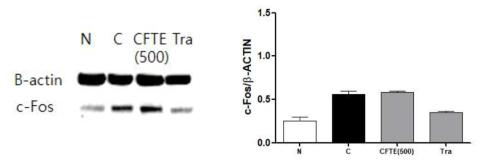 신경병증성 통증 흰쥐에서 위령선추출물(CFTE 500mg/kg)의 뇌중심회백질 c-fos 단백 활성에 미치는 영향 평가, N: Normal, C: Control, CFTE: 위령선추출물 투여군, Tra: Tramado