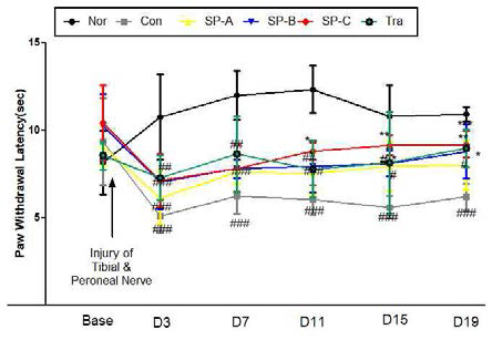 # : p ＜ 0.05, ## : p ＜ 0.01, ### : p ＜ 0.001 compared with normal group. * : p ＜ 0.05 compared with control group(two-way ANOVA with Bonferroni post hoc multiple comparison test)