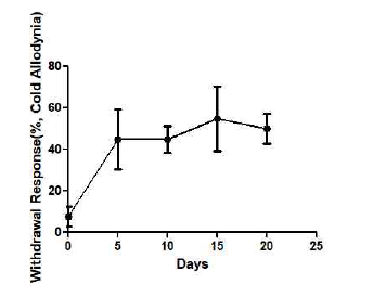 The neuropathic pain(Cold Allodynia) in spared nerve injury (SNI) rats (n = 4)