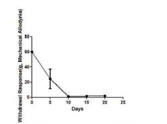 The neuropathic pain(mechanical allodynia) in spared nerve injury (SNI) rats (n = 4)