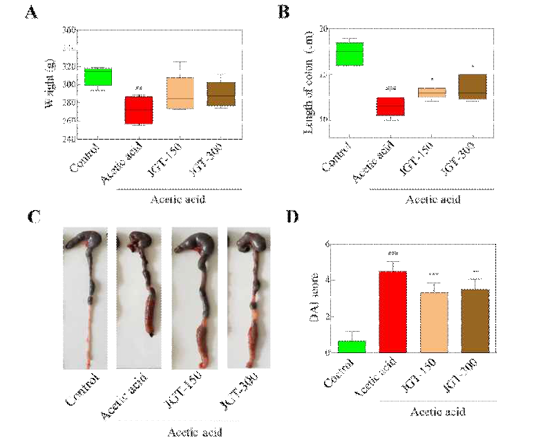 Acetic acid 및 작약감초탕 투여 후 (A)무게, (B)대장 길이, (C)대장 조직 사진 및 (D)DAI 조직 점수