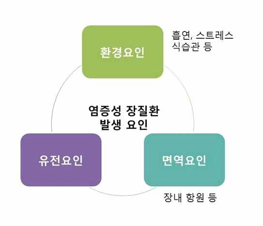 염증성 장질환 발생 요인