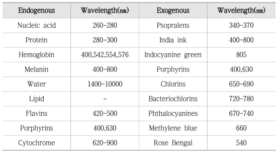 색소포의 종류 및 괄 흡수 파장